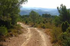 Camino en los alrededores de Ayódar